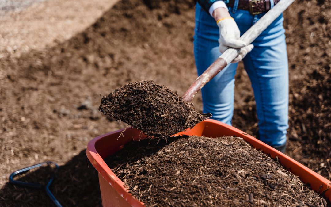 Uusi jätelaki erottaa biojätteen sekajätteestä – kannattaako kompostointi?